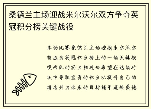 桑德兰主场迎战米尔沃尔双方争夺英冠积分榜关键战役